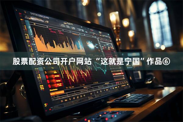 股票配资公司开户网站 “这就是宁国”作品⑥